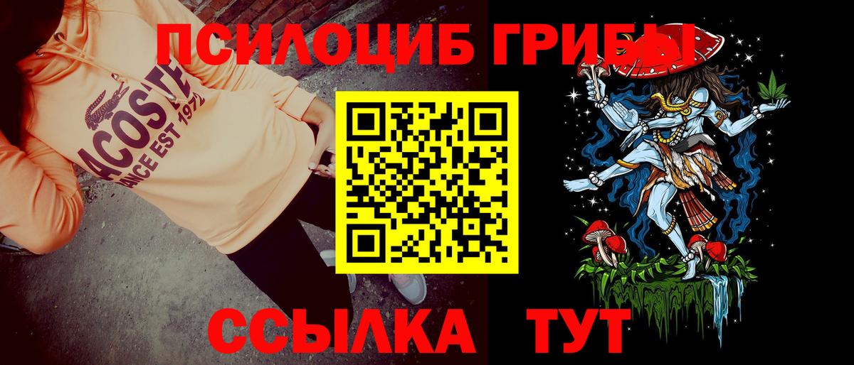 Галлюциногенные грибы прущие грибы Тамбов